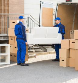 Selitev pohištva na Primorskem