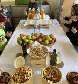 Turistični dogodki Gorenjska