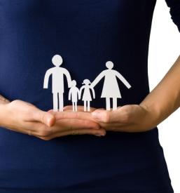 Individualna postavitev družine