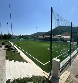 Grass for sport fields