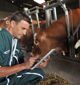 Najboljši veterinar Domžale