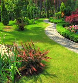 Poceni urejanje okolice Ilirska Bistrica z okolico