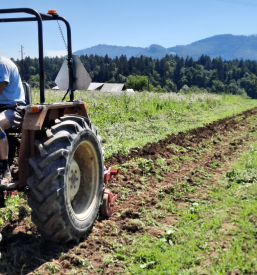 Domači izdelki s kmetije