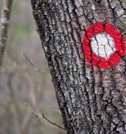 Planinska koča Resevna