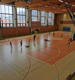 Ugodne sobe v dvorcu v Dravogradu