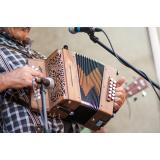 Poučevanje harmonike in ostale storitve, Žiga Stropnik s.p.