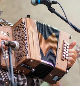 Šola harmonike Savinjska