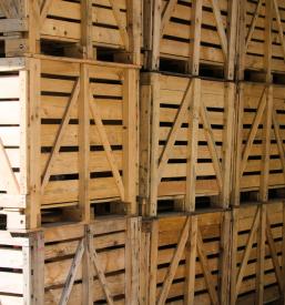 Paletni privozi Izola