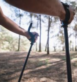 Poceni zložljive pohodniške palice