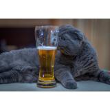 Caffe Mušketir Pobrežje