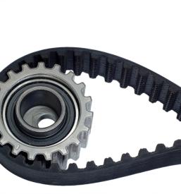 Kvaliteten jermen Slovenija