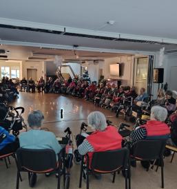 Dnevno varstvo starejših