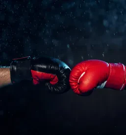 Boks Ravne na Koroškem