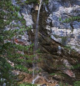 Fratarica aktivnosti