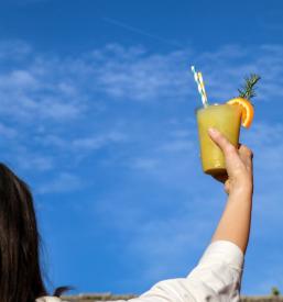 Ugoden najem barmana Bela Krajina