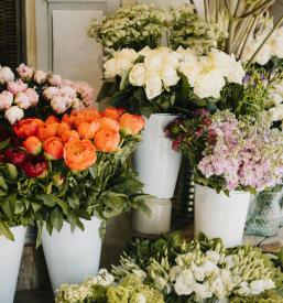 Ugodna cvetličarna Šenčur