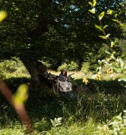 Escape room Kranjska Gora