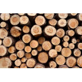 Žaga Babič d.o.o., Igor Babič