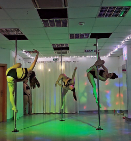 Profesionalni tečaj plesa na drogu