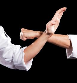 Trening borilnih veščin