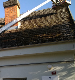 Poceni čiščenje streh