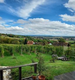 Turizem v občini Moravske Toplice, Pomurje