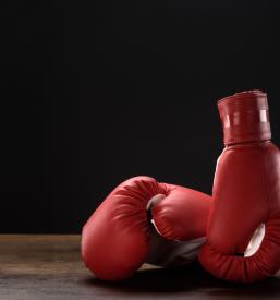 Vpis v boksarski klub Ljubljana, Osrednja Slovenija