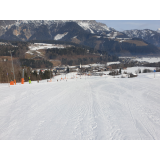 Gornjesavinjski smučarski klub Mozirje