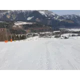 Gornjesavinjski smučarski klub Mozirje