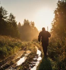 Ugoden tečaj za lovske pse