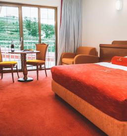 Hotel in restavracija Goriška Brda