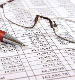 Natančno računovodstvo Savinjska