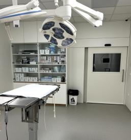 Veterinarski pregledi Radomlje