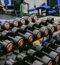 Športna dvorana Ljubljana