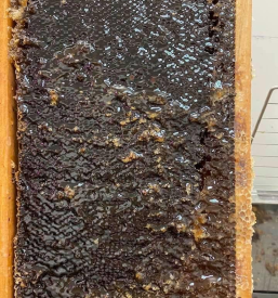 Okusni medeni izdelki Vipava, Goriška