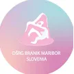 DSRG Branik