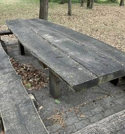 Piknik klopca Radomlje