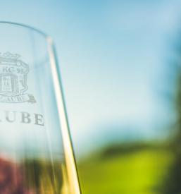 Prodaja vrhunskih vin na Štajerskem