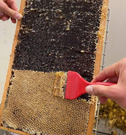 Medeni izdelki Goriška