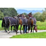 Konjeniško društvo Zelena dolina