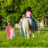Zavod Na drugačni poti