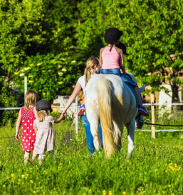 Psihoterapija s konji