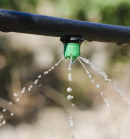 Čiščenje in vzdrževanje vode Bohinj