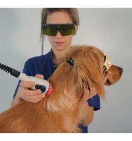 terapija za veterino