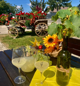 Prostor za družbe Maribor