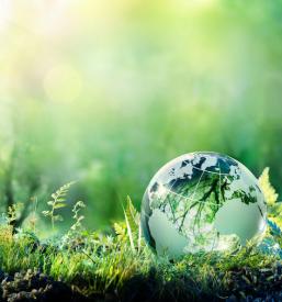 Predelava odpadne plastike v energijo Slovenija