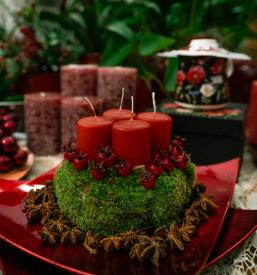 Ugodna cvetličarna Lendava