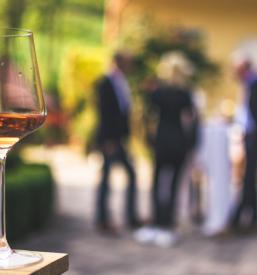 Vrhunska štajerska vina