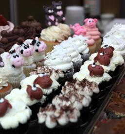 Velika izbira tort Koper