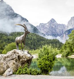 Agrarna skupnost Podkoren